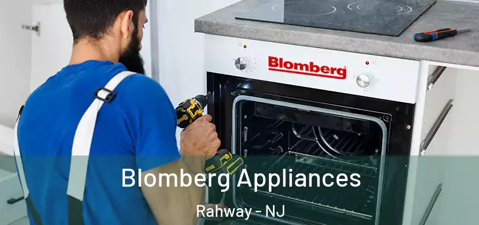  Blomberg Appliances Rahway - NJ