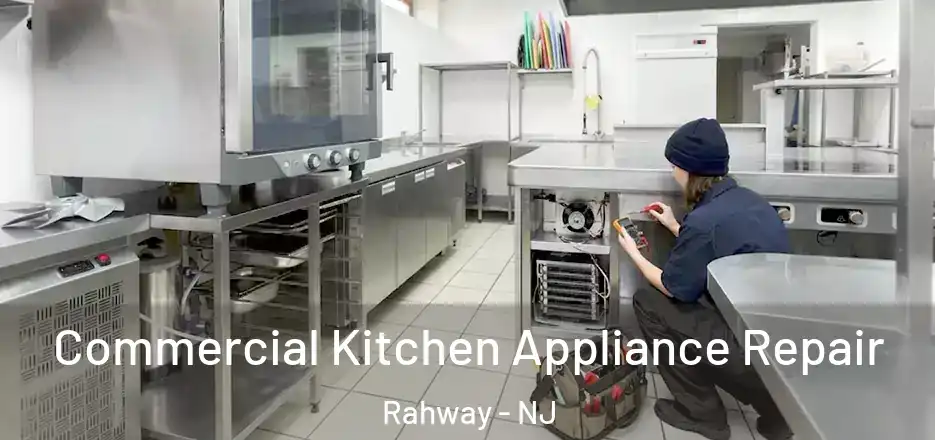 Commercial Kitchen Appliance Repair Rahway - NJ