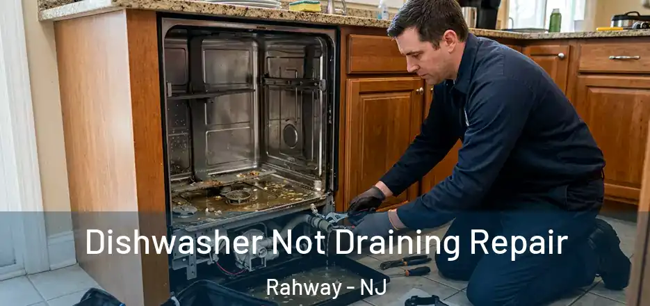Dishwasher Not Draining Repair Rahway - NJ