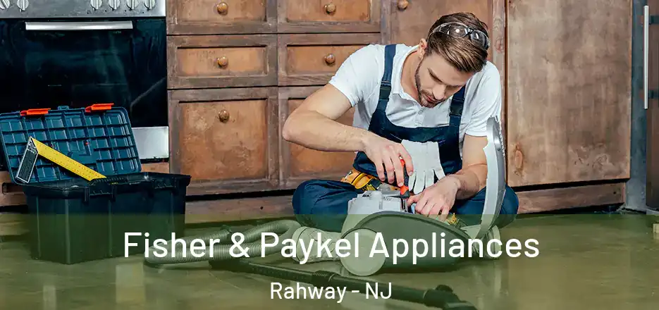 Fisher & Paykel Appliances Rahway - NJ