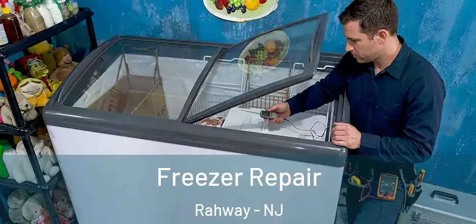  Freezer Repair Rahway - NJ